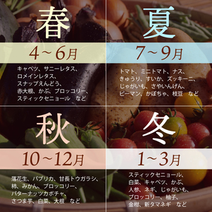 やさい 8から10品 セット 沼津市 やさい