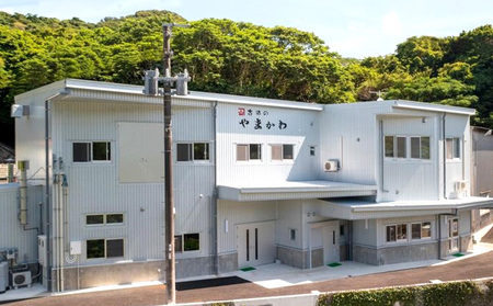 【山川酒造】さんご礁3年古酒×6本