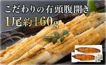 【厳選】三河一色産炭火焼青うなぎ　蒲焼2尾320g以上・U045
