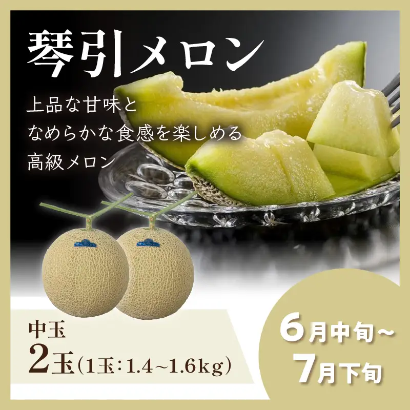 厳選メロン食べ比べセット（2026年6月下旬～） メロン