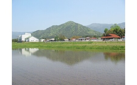 A096 特別栽培米阿東産コシヒカリ玄米60kg
