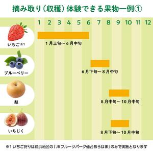 旬の果物摘み取り体験チケット　1回5,000円分　【チケット 券 人気 おすすめ 】