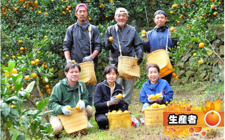 鹿蔵の 有田 みかん 訳あり 小玉 5kg 光センサー 選果 / 温州みかん 有田みかん 甘い 家庭用 和歌山 柑橘 ※2026年11月順次発送予定 ※北海道・沖縄・離島への配送不可 【ikd004-cs-5-novD】