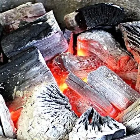 【かるまい純木炭、焼肉のタレ】バーベキューセット_BBQBBQバーベキューバーベキューバーベキュー_【配送不可地域：離島・沖縄県】【1354839】