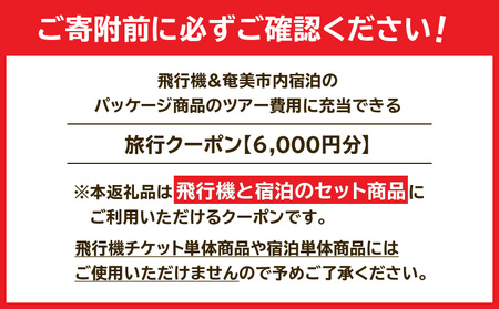 奄美市 に 泊まる ふるさと納税 旅行 クーポン【 6,000円 分 】 A184-002 割引券 ツアー 電子クーポン
