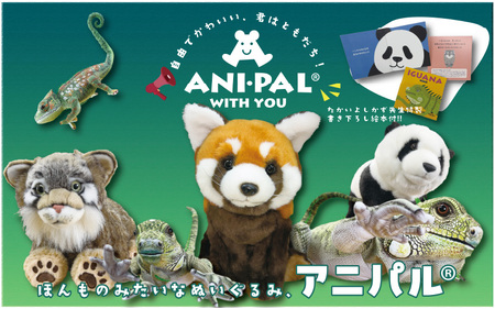 ＼大阪・関西万博2025出展／ともだちになれるぬいぐるみ！【ANI-PAL アニ・パル】（イグアナ　大）