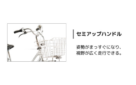自転車 ブリヂストン ロングティーンスタンダード MXRシルバー 自転車