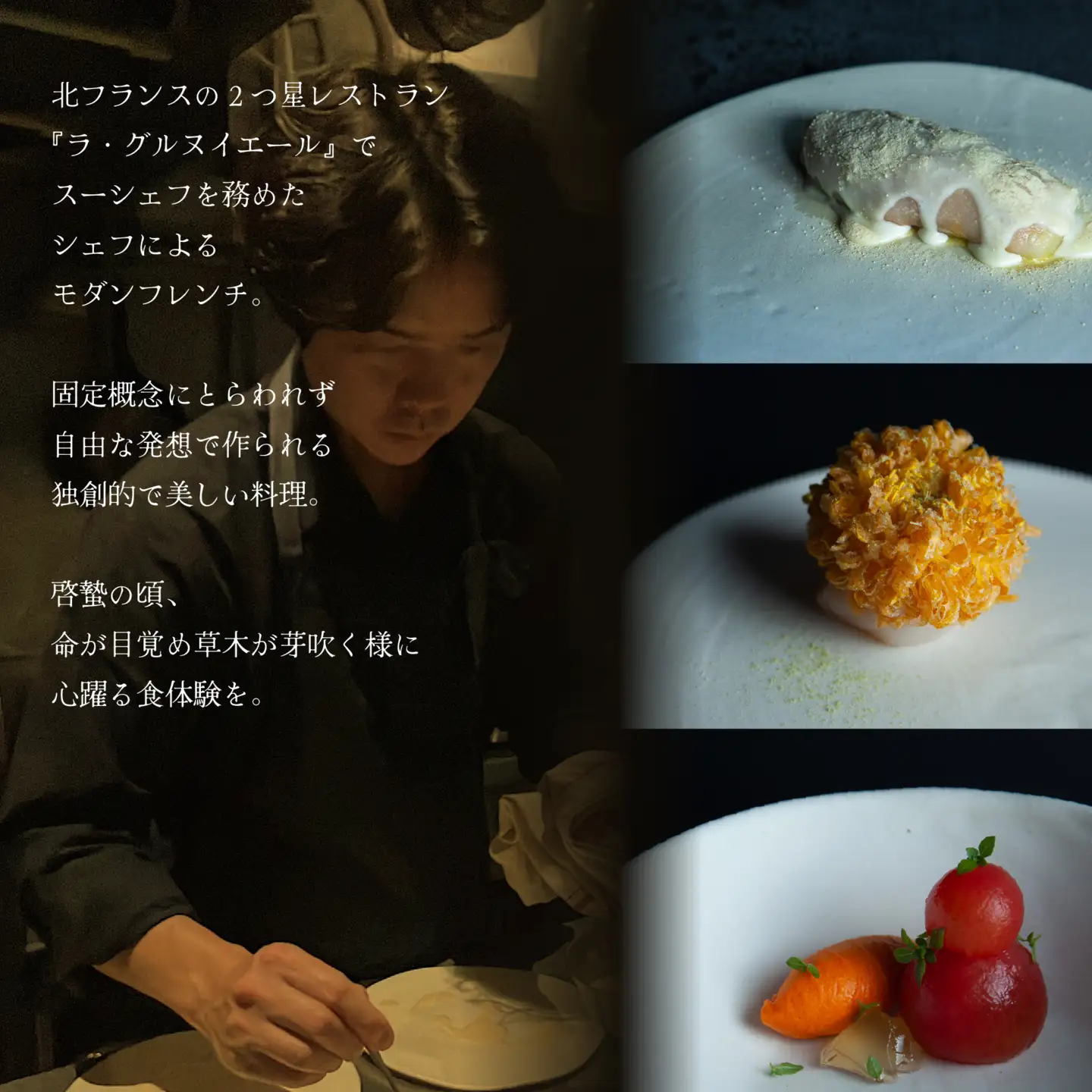【ふるなび限定】【松濤 一軒家フレンチ】啓蟄(けいちつ) 驚きに満ちた少量多皿「別海町おまかせコース」食事券1名様分 ※2名以上で利用可【CC0000247】食事券 東京
