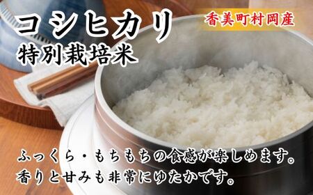 先行予約 令和7年産米 村岡産 コシヒカリ 特別栽培米 精米5kg 米 71-01