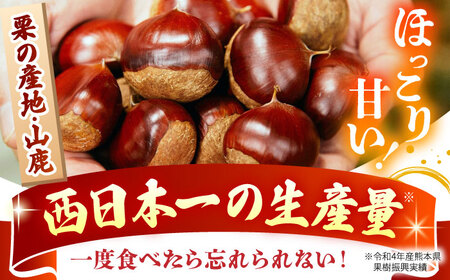 先行予約やまが和栗大粒むき栗渋皮付 約600g(約150g×4pc)ZES002