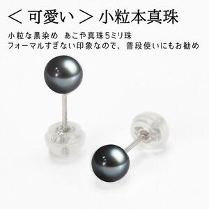 Pt ベビーパール あこや真珠 小粒4.5mm 黒染めPt900ピアス　両耳用1個（1ペア） AEN0008