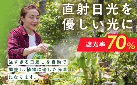 園芸用 遮光ネット（BK1210・ハトメ付・幅3.6m×長さ5.4m） / ガーデニング 庭 遮光[AFCA026]