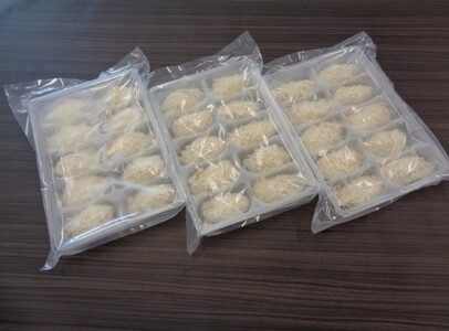 広島産　ジャンボかきフライ（400g（10個）×3パック）