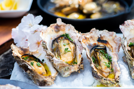 【予約商品】牡蠣　広島　殻付き牡蠣（13個～15個）　矢野水産【配送不可：離島】【配送時期：2027年1月上旬～2027年4月上旬】