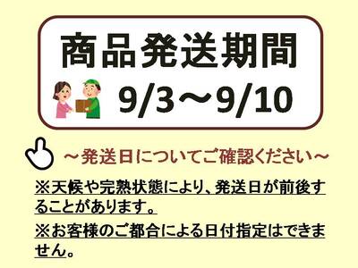 【2026年発送分先行予約】シャインマスカットと食べ比べセット（約2kg）　9月上旬発送　広島　農家直送・新鮮朝採り　【配送不可：離島】【※お届け日指定不可】