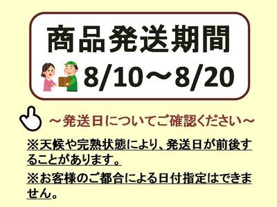 【2026年発送分先行予約】クイーンセブン　2房（約0.8kg）　8月中旬発送　広島　農家直送・新鮮朝採り　【配送不可：離島】【※お届け日指定不可】
