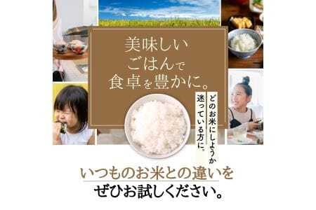 【定期便】令和7年産 2kg 【6ヵ月連続お届け】 計12kg 広島県産 お米マイスター厳選米 【出荷直前精米】