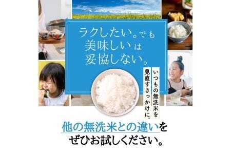 【定期便】令和7年産 2kg 【12ヵ月連続お届け】 計24kg 広島県産 無洗米 ラクしても美味しさそのまま お米マイスター厳選