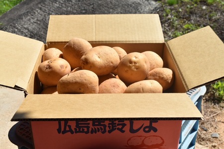 【予約商品】安芸津　赤土じゃがいも　５kg【配送時期：6月下旬～８月下旬／11月下旬～1月上旬】