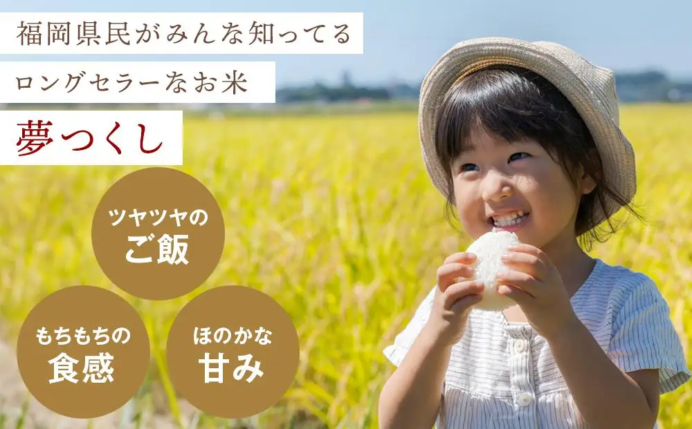 【令和7年産】福岡県産 米 夢つくし 5kg × 1袋 | 米 お米 こめ 白米 精米 ライス ブランド米 美味しい ご飯 おいしい ごはん