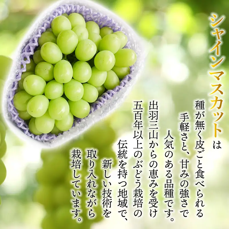【令和8年産先行予約】シャインマスカット 約700g　丸果庄内青果