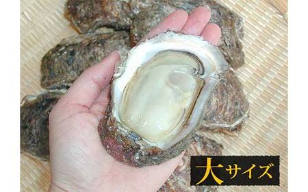 《先行予約 2026年度発送》庄内浜 天然岩牡蠣 大サイズ 10個 牡蠣剥き用ナイフ付き FSY-2101
