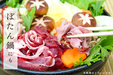 脊振ジビエ イノシシ肉スライスセット ロース&バラ 約600g (H059119)