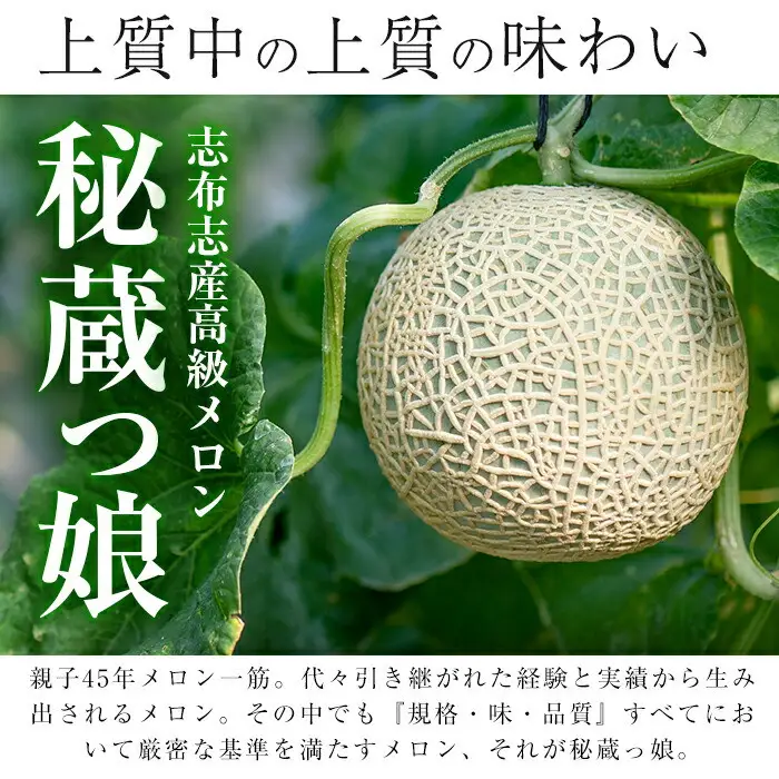 極上メロン「秘蔵っ娘」赤玉(赤肉)1個 メロン マスクメロン 果物 くだもの デザート 赤肉 a5-060