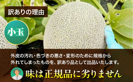 メロン【6月下旬から順次発送】 訳あり 小玉メロン（タカミ） SSサイズ 5玉入り（1.3kg～1.5kg） メロン[AGDG001]