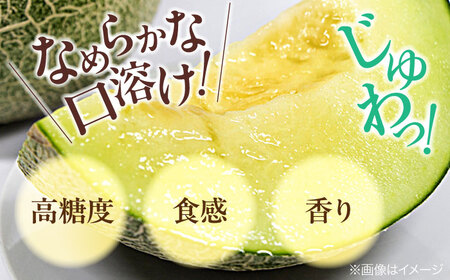 メロン【6月下旬から順次発送】 タカミ メロン LLサイズ 1玉入り（2.5kg～3kg以下) メロン[AGDG004]