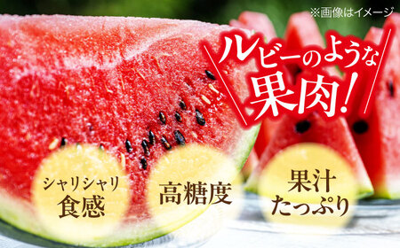 メロン【6月中旬から順次発送】 祭りばやしスイカ 1玉入り（7kg～10kg) メロン[AGDG005]