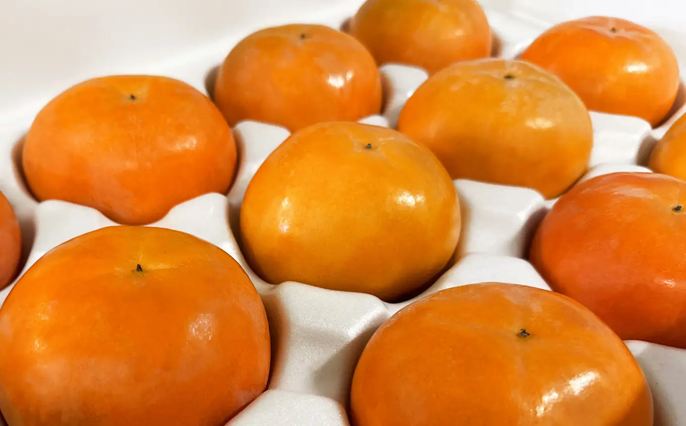 富有柿 2L 12個セット 化粧箱 1段 | 果物 産地直送 国産 自宅用 ギフト 種有り 奈良県 五條市