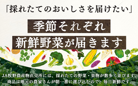 季節の野菜セットC | 詰め合わせ 果物 新鮮 お試し おすすめ 冬 春 夏 秋 国産 奈良県 五條市