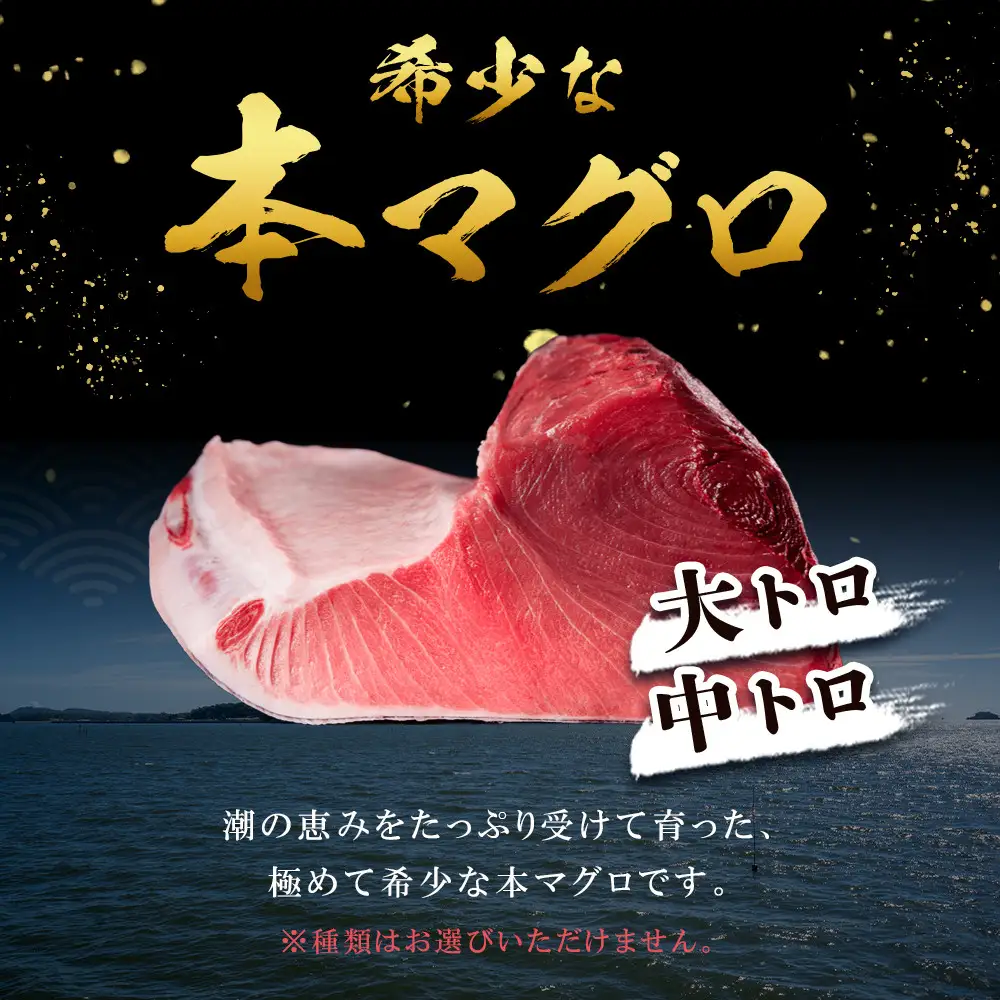 本マグロ トロセット 400g | 大トロ 中トロ 鮪 刺身 寿司