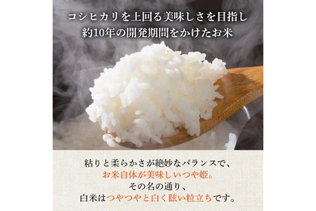 米 令和7年産 つや姫 5kg 特別栽培米 精米 [農家の蔵出し米生産組合 山形県 高畠町 tk06ays900022]
