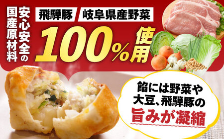 餃子 【3回定期便】 岐阜餃子32個入り [ANEY006] 餃子