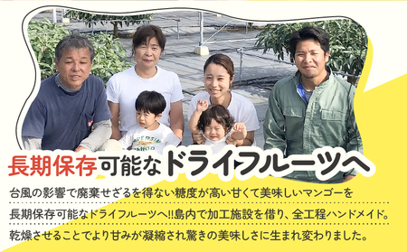 【先行受付】田中 マンゴー園 が作った マンゴー の ドライフルーツ 40g×5袋 W001-013-04 果物