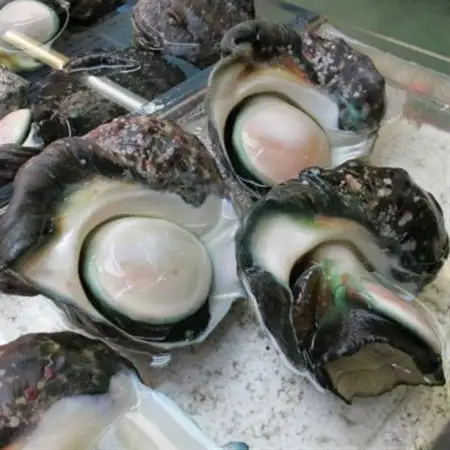 伊平屋島で獲れた海産物セット 梅プラン(4～6品)【配送不可地域：離島】【1518216】