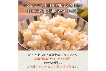 米 令和7年産 つや姫 5kg 特別栽培米 玄米 [農家の蔵出し米生産組合 山形県 高畠町 tk06ays900024]