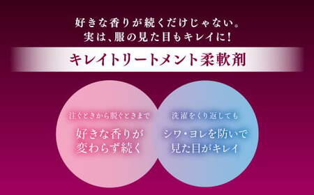 ソフラン アロマリッチ ジュリエット 替特大 セット （替特大6個） 合計4,500g 柔軟剤 洗濯 日用品 生活用品 ライオン