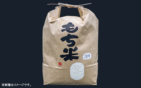 607 【令和7年産】水稲もち 3升 4.5kg