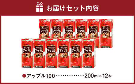 アップル100 200ml×12本 合計2400ml 厳選 りんご 果汁 100% 濃縮還元 林檎 ジュース リンゴジュース 常温 飲料 熊本県 らくのうマザーズ