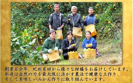 鹿蔵 プレミアム 有田みかん ( ゆら早生 ) 10kg+250g（傷み補償分） 光センサー 選果 ※北海道・沖縄・離島への配送不可 ※2026年10月上旬～11月中旬頃に順次発送 / 温州 みかん 厳選 柑橘 果物 フルーツ 和歌山 【ikd003-prem-10A】