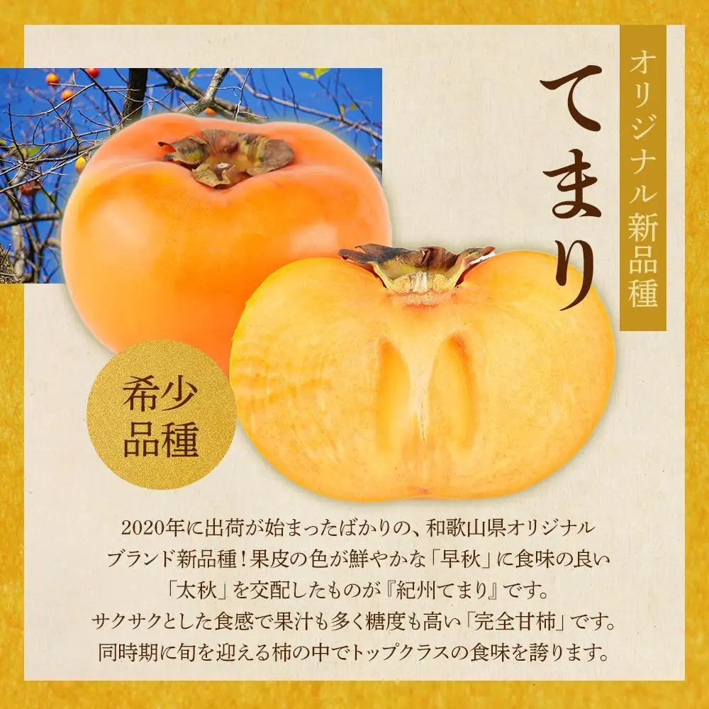 紀州てまり（和歌山県ブランド柿）6～7個入 こだわり農家厳選 先行予約 ［2026年9月末から10月末頃順次発送］［KG27］柿