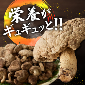 『満月しいたけ』菌床乾燥しいたけ　1kg 厳選 高級 椎茸 きのこ 肉厚 ジューシー 新鮮 農薬不使用 有機椎茸 山梨県産 北杜市産 [h122]