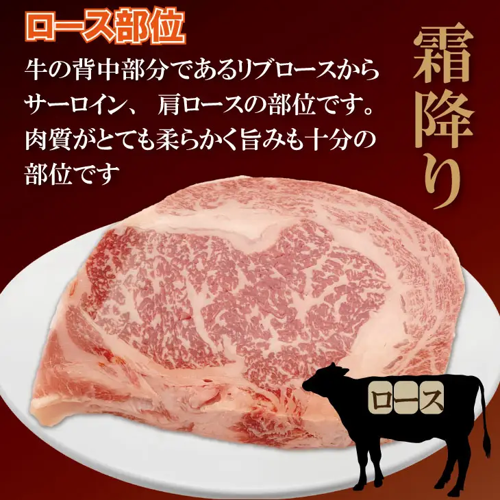 佐賀牛 厚切り ロースブロック牛肉 （500g×1） ブロック 牛肉  B190-010