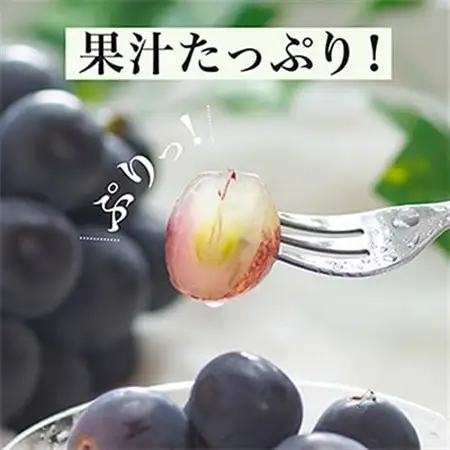 【先行受付】岡山県産　ニューピオーネ2房　(1房600g以上)　化粧箱入り【配送不可地域：離島・北海道・沖縄県】【1281359】