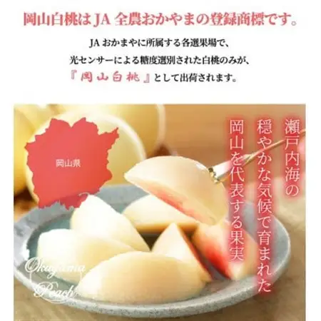 【先行受付】岡山白桃 ロイヤル 3玉×200g (Lサイズ) 岡山県産【配送不可地域：離島・北海道・沖縄県】【1305716】