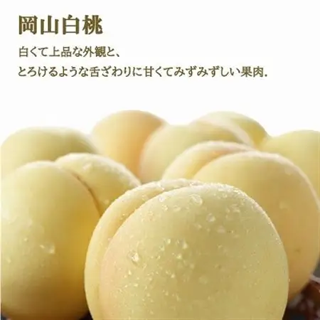 【先行受付】岡山県産　岡山白桃エース3Lサイズ300g×2玉・ニューピオーネ600g×1房　詰合せ【配送不可地域：離島・北海道・沖縄県】【1309116】