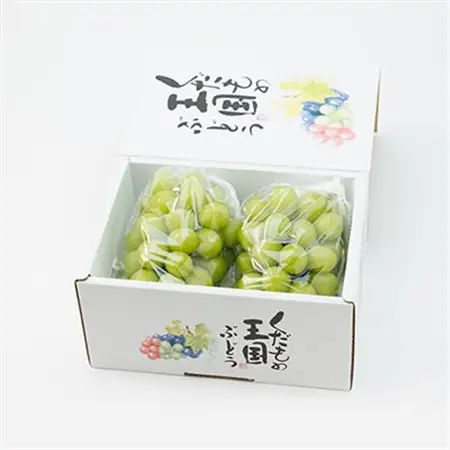 【2026年9月より順次発送】岡山県産 シャインマスカット  約1.2kg(2房)【配送不可地域：離島】【1332985】